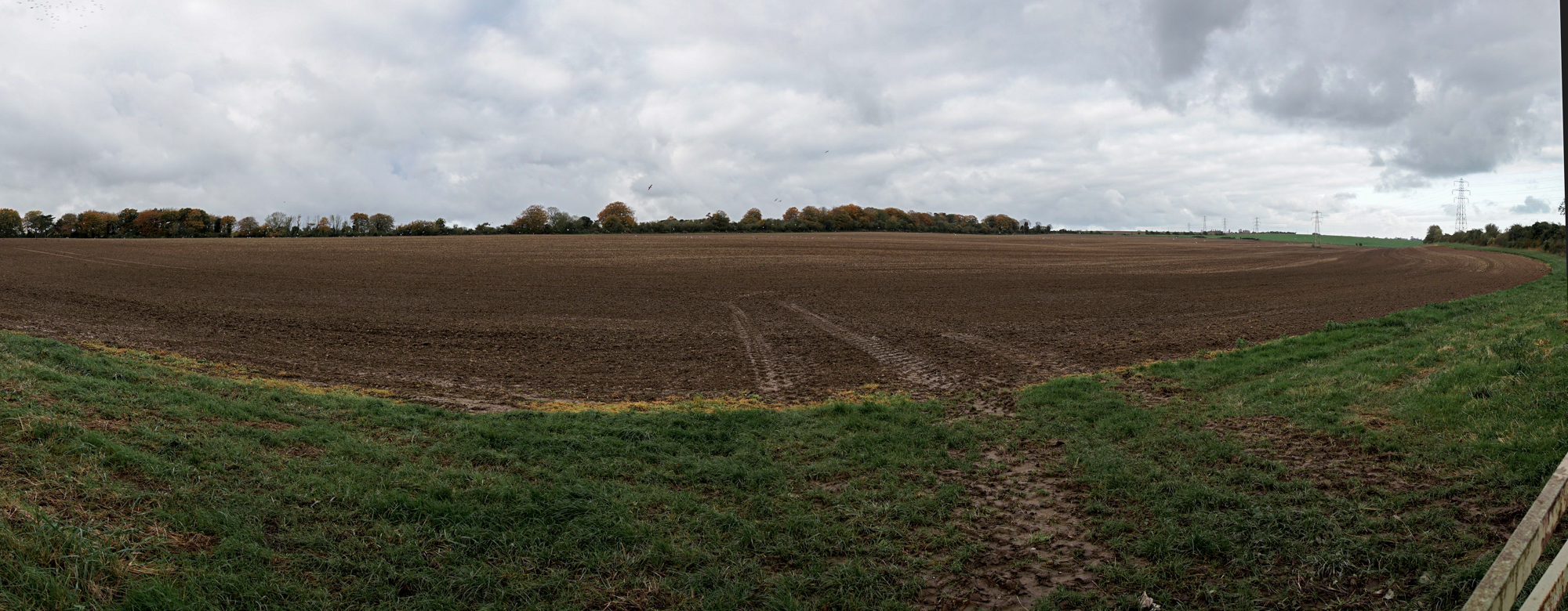 photos of field