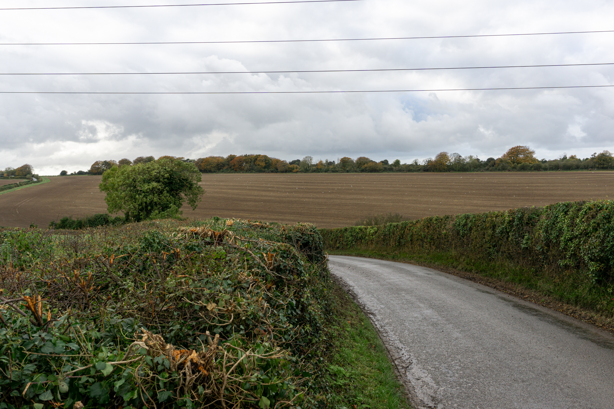 photos of field