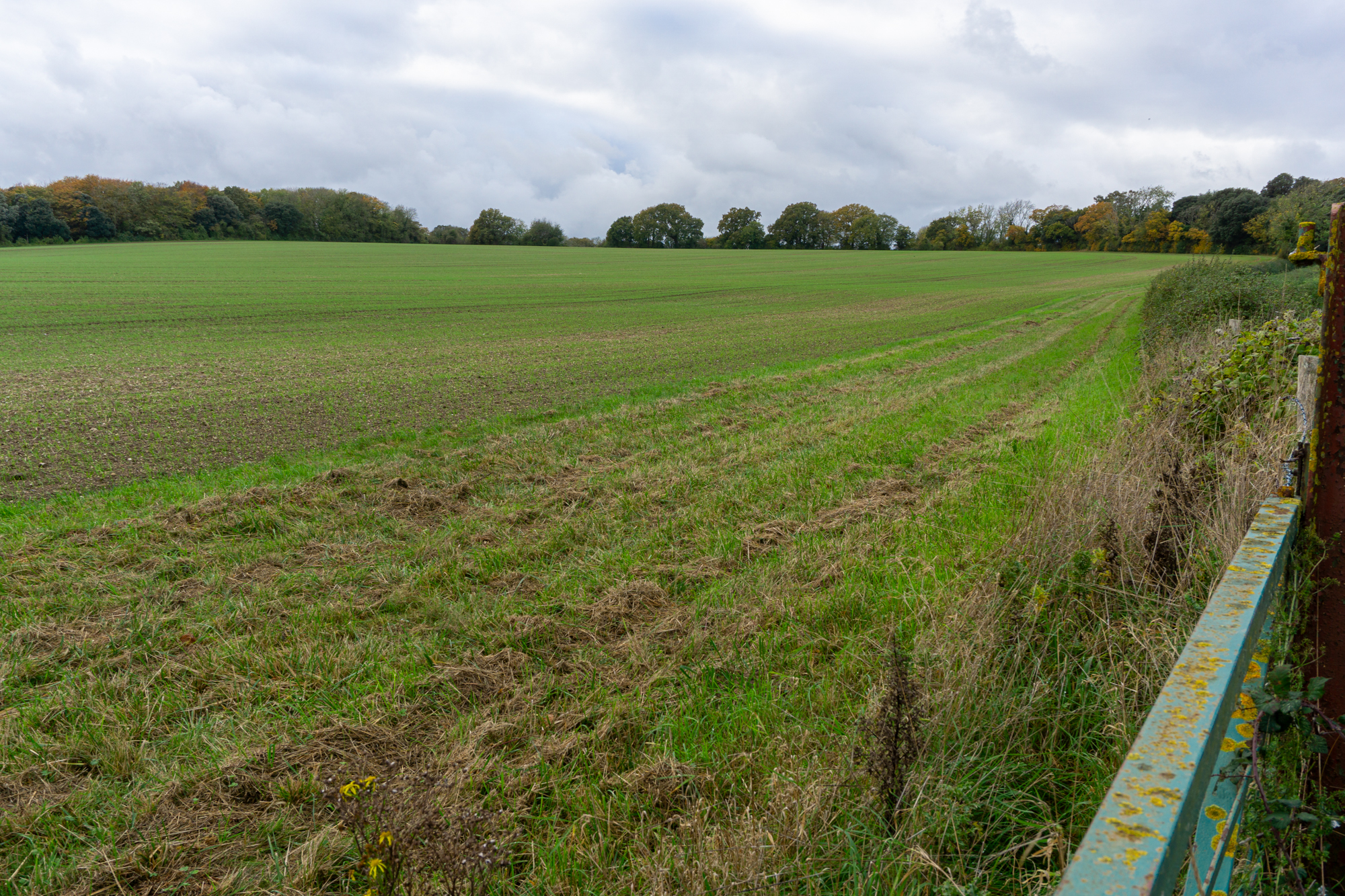 photos of field