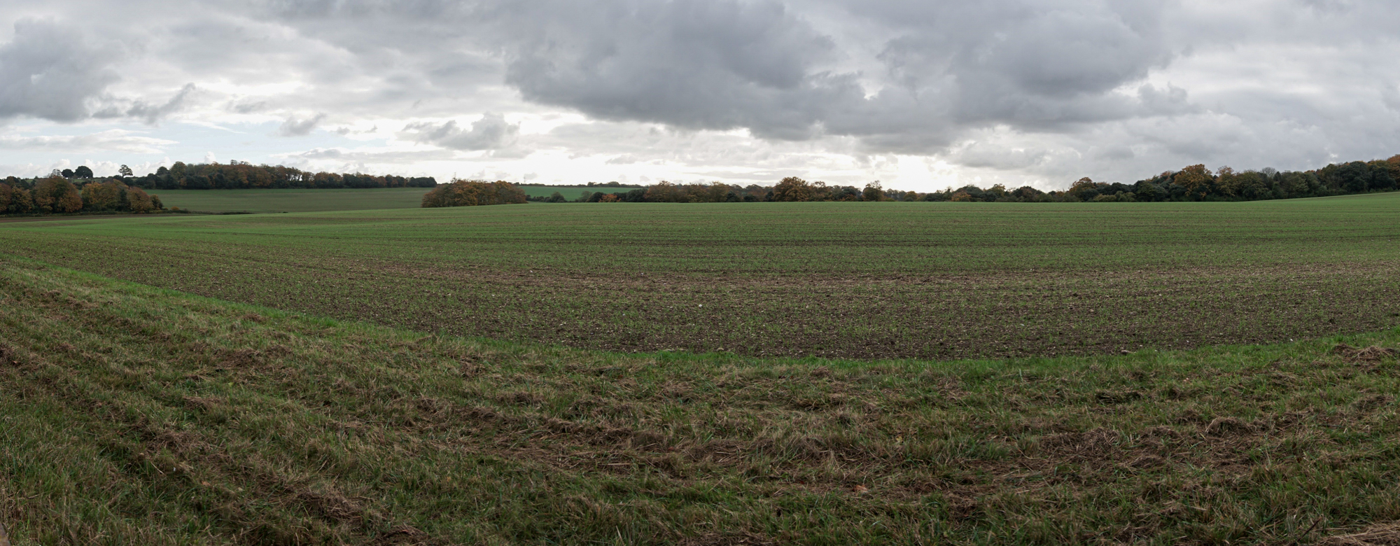photos of field