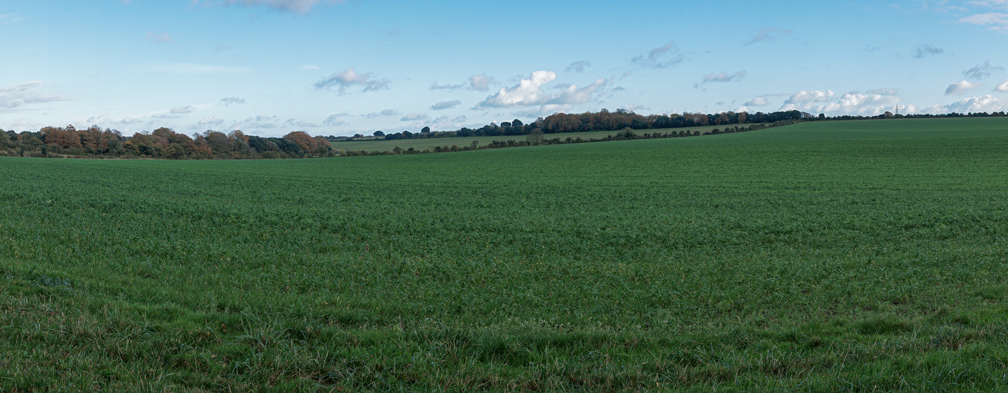photos of field